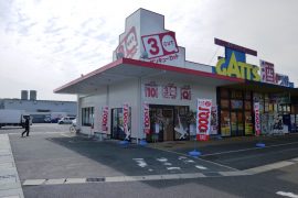 鳥取東店