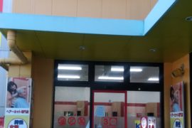 ベルフまつぞの店